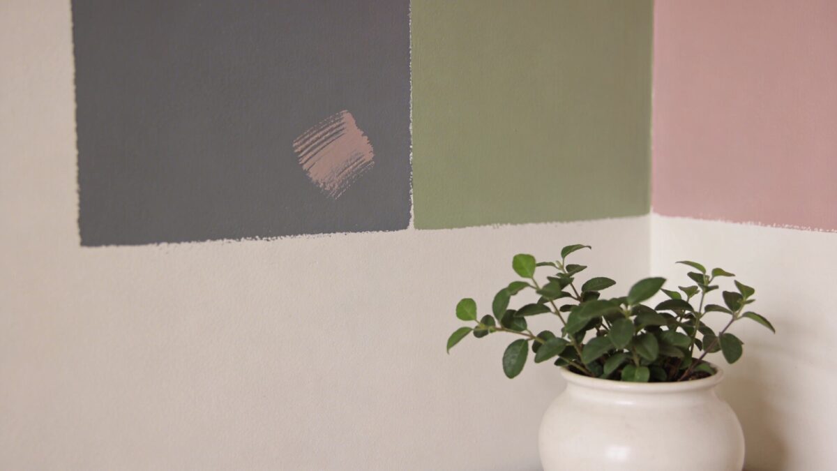 Close-up of a color-coordinated swatch testing moment: swatches on a wall corner showing slate gray, sage green, and blush pink, with a finger-marked test area and a small plant in the frame to imply calm, careful choice.
